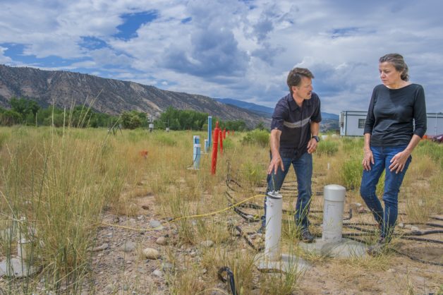 Ken Williams (left) and Jill Banfield at the Subsurface Systems Scientific Focus Area 2.0 site near Rifle, Colorado, where research by her team has doubled the number of known bacterial groups. (Credit: Berkeley Lab, Roy Kaltschmidt) 