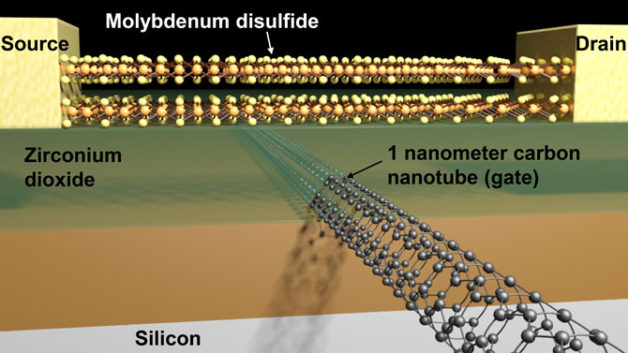 Schematic of a transistor with a molybdenum disulfide channel and 1 nanometer carbon nanotube gate. (Credit: Sujay Desai/UC Berkeley)
