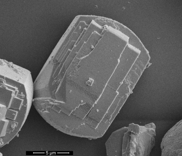 Image - A scanning electron microscopy (SEM) image showing a type of catalyst called a zeolite that is used to convert ethanol to high-value fuels. The particles measure about 15 microns in length. (Credit: PNNL)