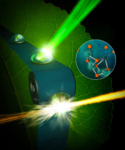 A femtosecond x-ray pulse from an x-ray free electron laser intersecting a droplet that contains photosystem II crystals, the protein extracted and crystallized from cyanobacteria. (Credit: SLAC National Accelerator Laboratory)