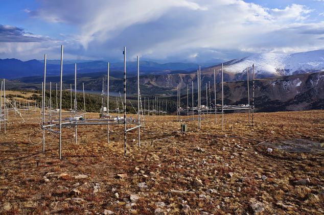 Infrared heaters to protect forest plots suspended from scaffolding