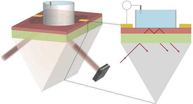 Image - This diagram shows the setup for an imaging method that mapped electrical signals using a sheet of graphene and an infrared laser. The laser was fired through a prism (lower left) onto a sheet of graphene. An electrode was used to send tiny electrical signals into a liquid solution (in cylinder atop the graphene), and a camera (lower right) was used to capture images mapping out these electrical signals. (Credit: Halleh Balch and Jason Horng/Berkeley Lab and UC Berkeley)