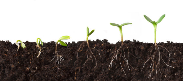Two Berkeley Lab projects to "see" into the soil. (Credit: KateLeigh/istock.com)