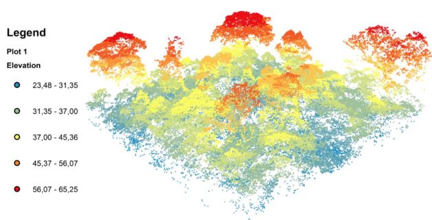 Photo - LIDAR-generated 3-D model of forest canopy structures. (Credit: Journal of Applied Ecology Blog)