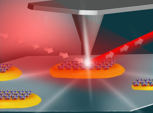 Illustration - This illustration shows the setup for an experiment at Berkeley Lab’s Advanced Light Source that used infrared light (shown in red) and an atomic force microscope (middle and top) to study the local surface chemistry on coated platinum particles (yellow) measuring about 100 nanometers in length. (Credit: Hebrew University of Jerusalem)