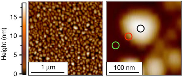 Image - From a collection of nanoscale platinum particles, left, researchers homed in on the chemistry occurring in different surface areas of individual nanoscale platinum particles like the one at right, which measures about 100 billionths of an inch across. Researchers found that chemical reactivity is concentrated toward the edges of the particles (red circle at right), with lesser activity in the central area (black circle). This image was produced by an atomic force microscope. (Credit: “High-spatial-resolution mapping of catalytic reactions on single particles,” Nature, Jan. 11, 2017)
