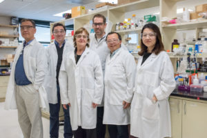 (From left) Berkeley Lab scientists Bo Hang, Hugo Destaillats, Lara Gundel, Antoine Snijders, Jian-Hua Mao, and Pin Wang are studying the biological effects of thirdhand smoke exposure. (Credit: Marilyn Chung/Berkeley Lab)