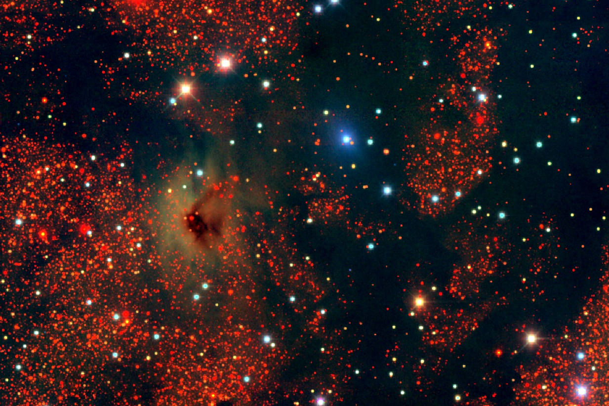 Image - The dark regions show very dense dust clouds. The red stars tend to be reddened by dust, while the blue stars are in front of the dust clouds. These images are part of a survey of the southern galactic plane. (Credit: Legacy Survey/NOAO, AURA, NSF)