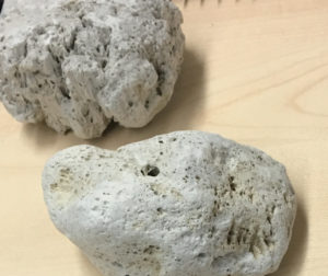 Image - Pumice stones. (Credit: Berkeley Lab)