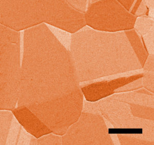 Image - This false-color image, produced with scanning electron microscopy, shows microscopic details on the surface of a copper foil that was used as a catalyst in a chemical reaction studied at Berkeley Lab's Advanced Light Source. The scale bar represents 50 microns, or millionths of a meter. (Credit: Berkeley Lab)