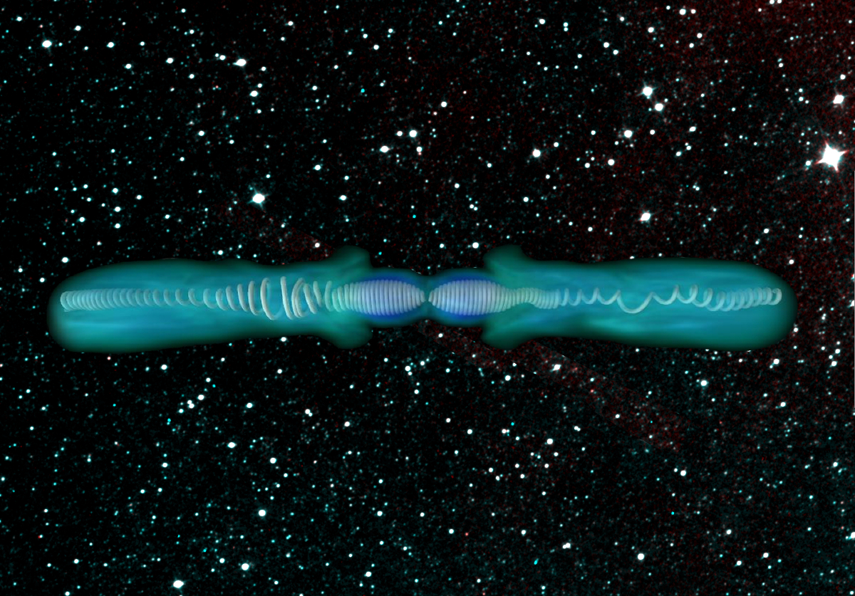 Image - This rendering illustrates magnetic kink instability in simulated jets beaming from active galactic nuclei. The jets are believed to be associated with supermassive black holes. The magnetic field line (white) in each jet is twisted as the central object (black hole) rotates. As the jets contact lower-density matter they recollimate. This causes the toroidal magnetic field to build up and become unstable. The irregular bends and asymmetries of the magnetic field lines are symptomatic of kink instability. The instability dissipates toroidal magnetic field into heat and leads to a less tightly wound magnetic field. (Credit: Berkeley Lab, Purdue University, NASA)