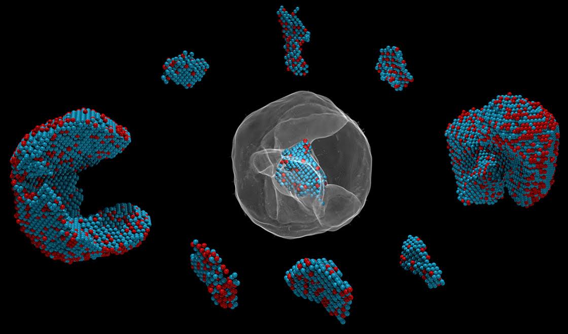 Image - This image shows the atomic composition of an iron-platinum nanoparticle. (Credit: Colin Ophus and Florian Niekiel/Berkeley Lab)