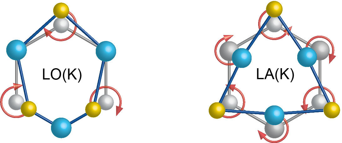 Image - This diagram shows atomic motion in separate phonon modes. At left ("LO" represents a longitudinal optical mode), selenium atoms exhibit a clockwise rotation while tungsten atoms stand still. At right ("LA" represents a longitudinal acoustic mode), tungsten atoms exhibit a clockwise rotation while selenium atoms rotate in a counterclockwise direction. (Credit: Hanyu Zhu, et al.)