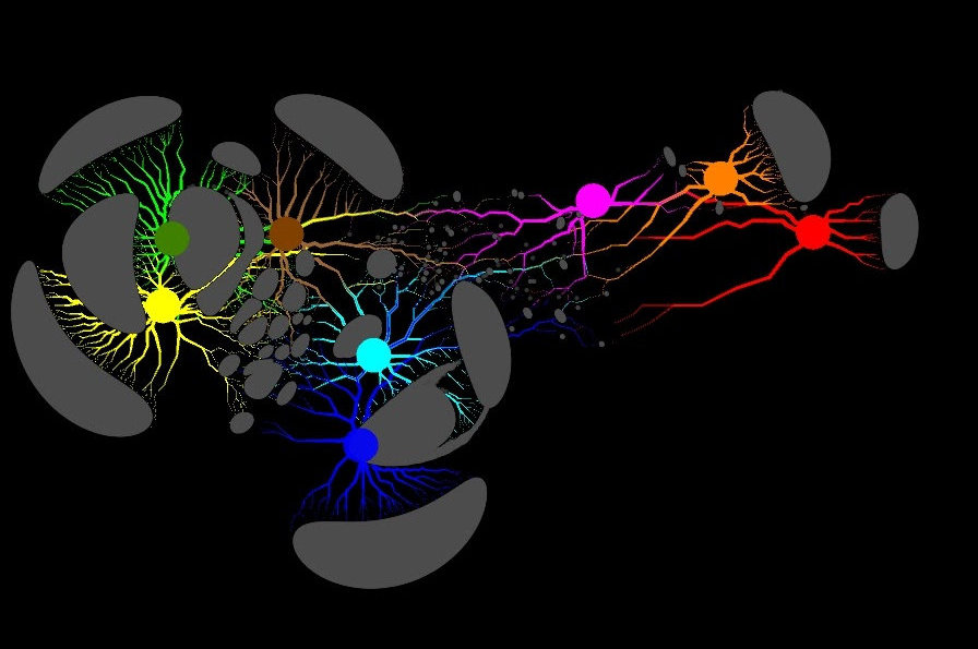 Image - Graph representation of biological data. (Credit: Georgios Pavlopoulos, JGI/Berkeley Lab)
