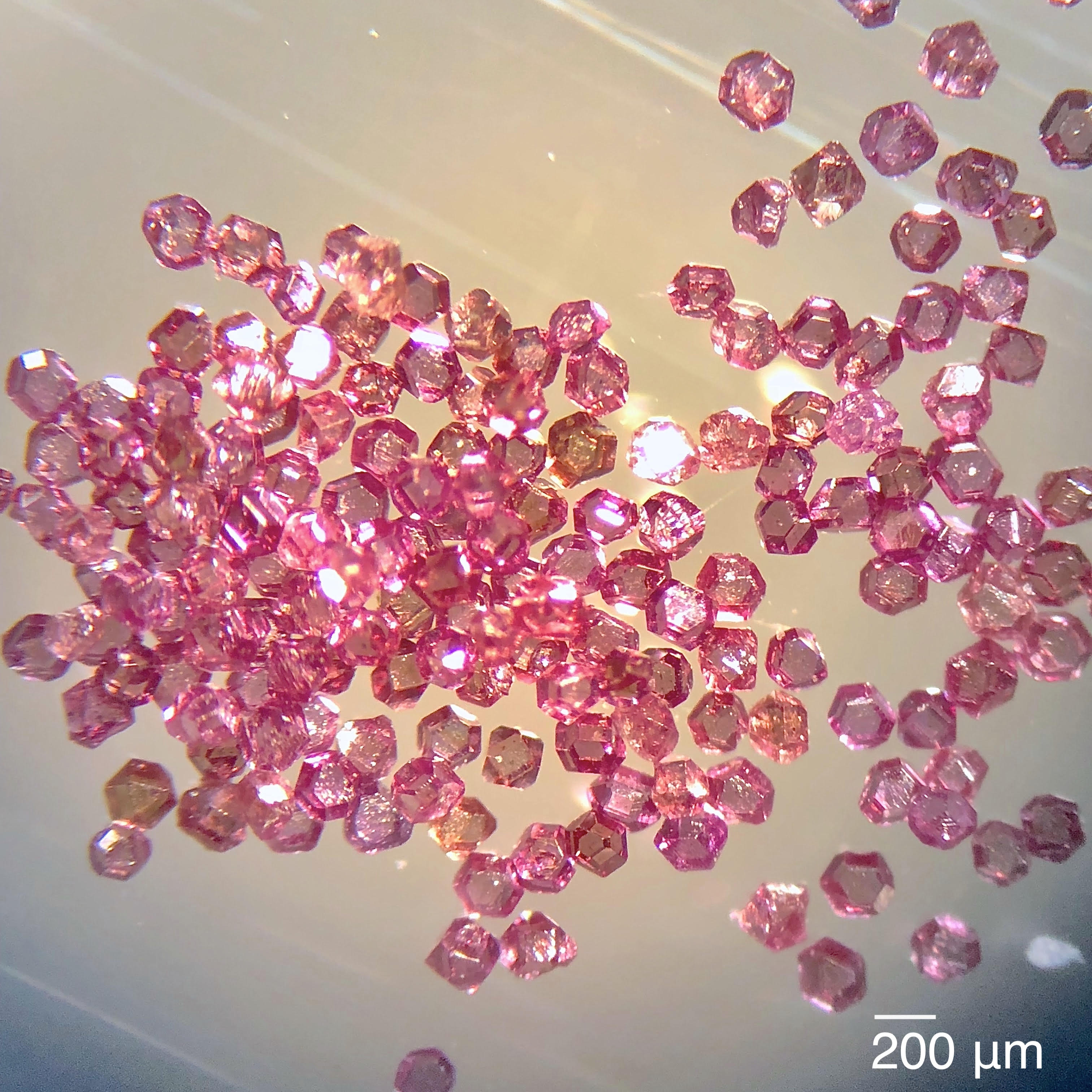 Photo - Microscopic images of diamond particles with nitrogen-vacancy defects. These samples, which exhibit a truncated octahedral shape, were used in experiments that sought new ways to tune and control an electronic property known as spin polarization. The scale bar at lower right is 200 microns (millionths of an inch). To the human eye, the pinkish diamonds resemble fine red sand. (Credit: Berkeley Lab, UC Berkeley)