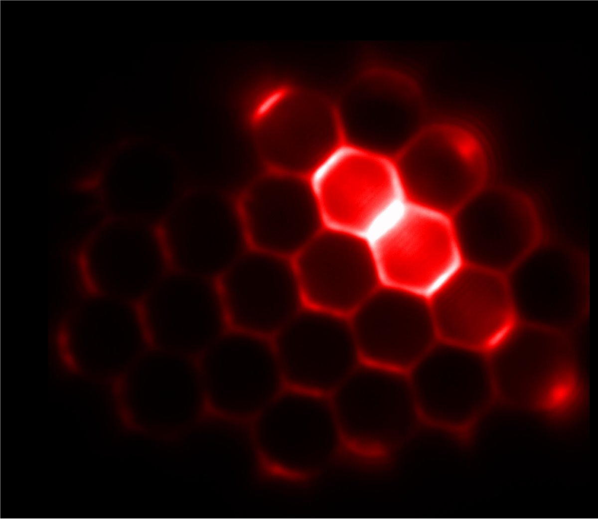 Image - A wide-field image showing the light emitted by microlasers in a self-assembled 2-D array. (Credit: Angel Fernandez-Bravo)