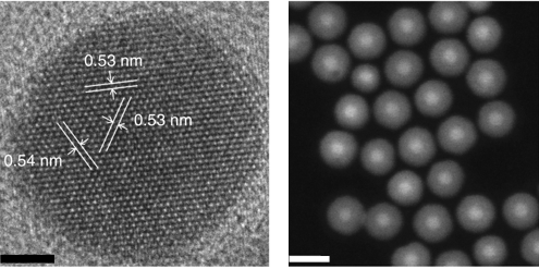 Images - A high-resolution transmission electron microscope image of a nanoparticle measuring 8 nanometers in diameter, with a 4-nanometer-thick shell (left). The scale bar is 5 nanometers. At right is a scanning transmission electron microscope image showing a collection of 8-nanometer nanoparticles with 8-nanometer shells (scale bar is 25 nanometers). (Credit: Berkeley Lab)
