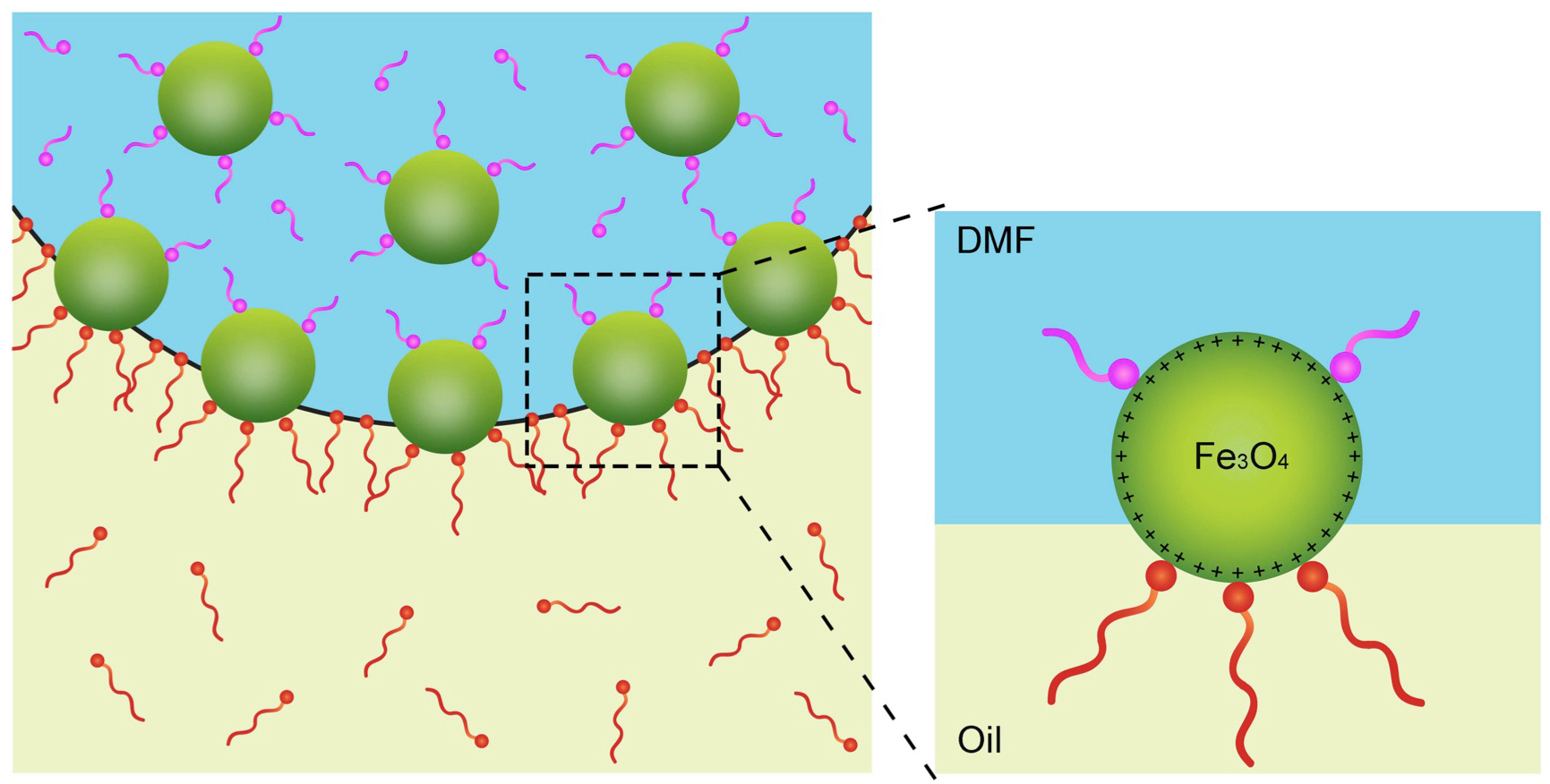Image - A chemical compound known as a ligand (pink), which binds to the surface of nanocrystals (green), competes with the binding of polymer strands (red) in a process that causes the crystals to behave in a solid-like state. Scientists also demonstrated that the collection of nanocrystals can relax back to a liquid-like state. (Credit: Berkeley Lab)