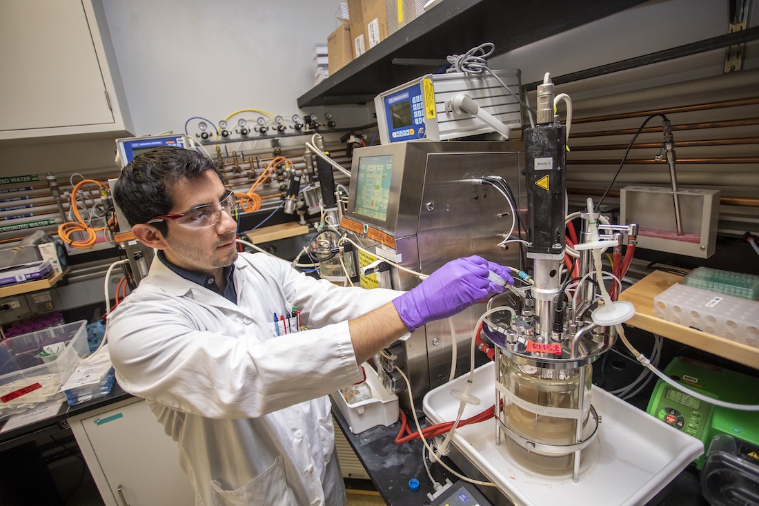 A scientist in a lab working on developing biofuels