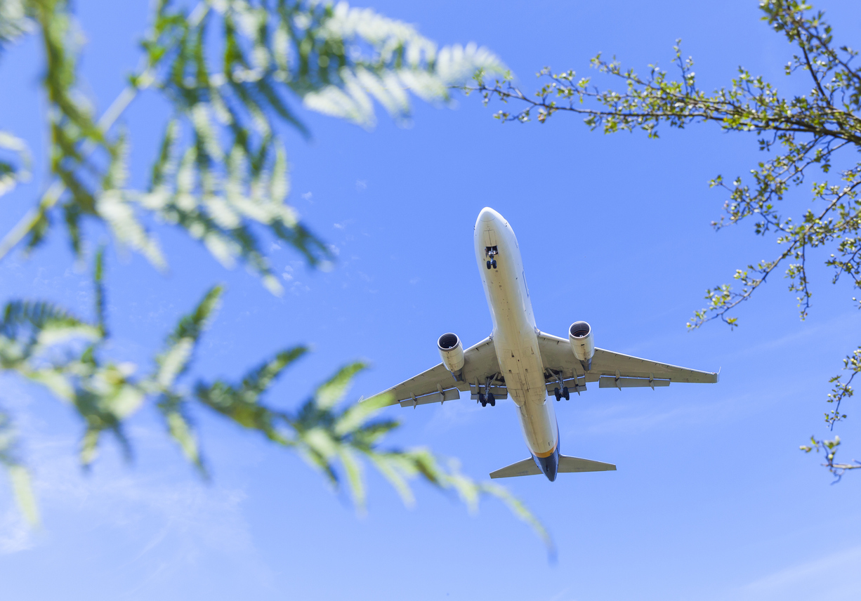A plane flying over green trees