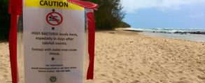 At Gillin's Beach in the Mahaulepu watershed, signs were frequently posted warning beach goers not to swim. However, the team found no evidence of any contamination during an entire year year of monitoring.