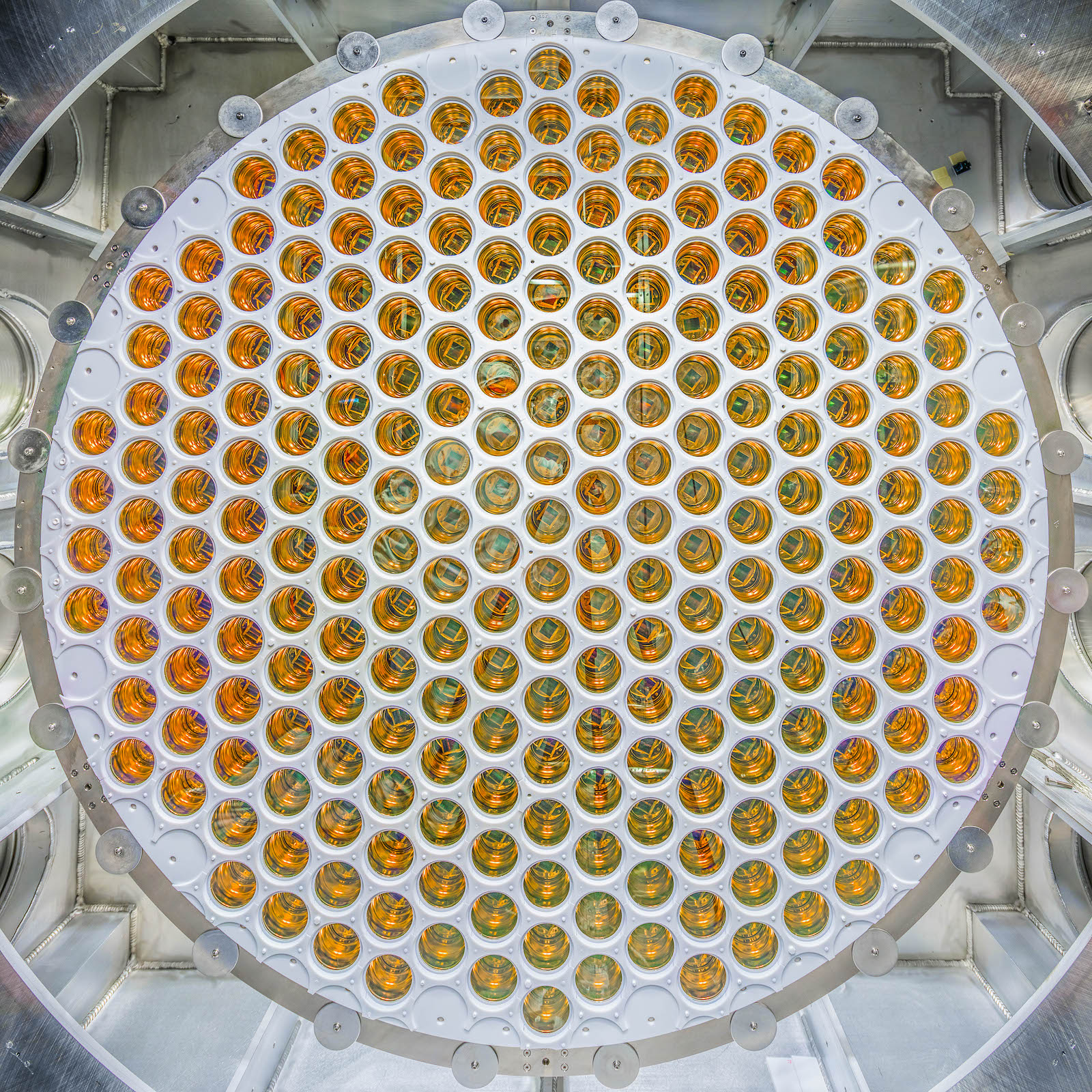 Photo - An array of photomultiplier tubes that are designed to detect signals occurring within LZ’s liquid xenon tank. (Credit: Matt Kapust/Sanford Lab