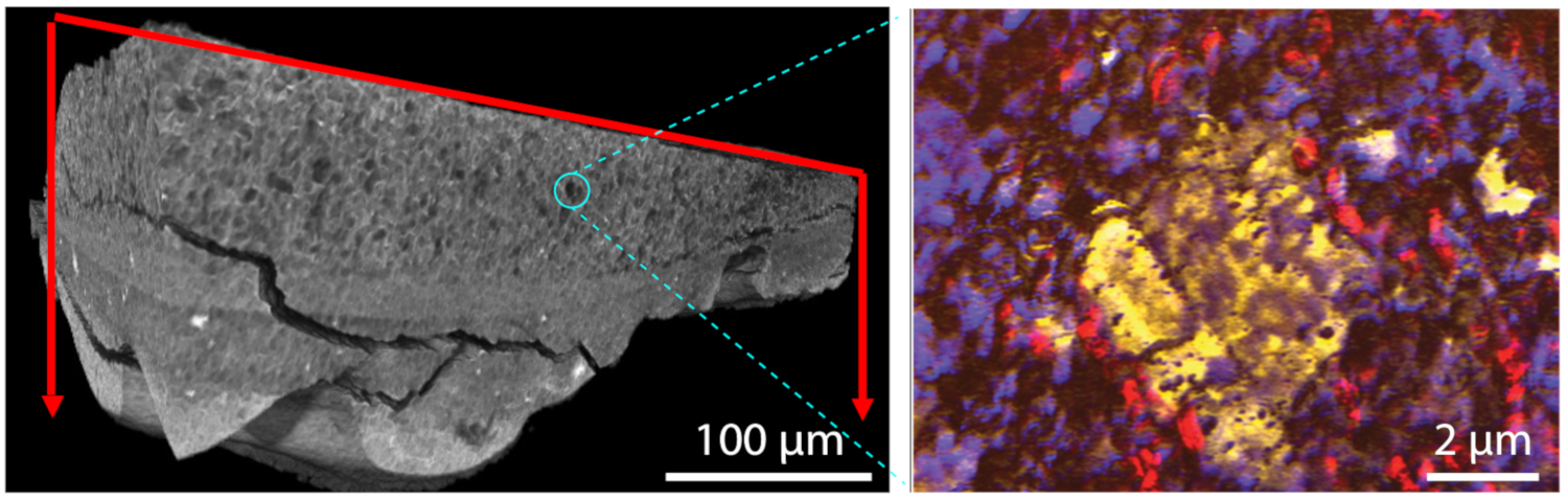 Images: Paint sample imaging at the microscale and nanoscale.