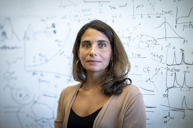 Berkeley Lab chemist Rebecca Abergel in front of formulas drawn on white board