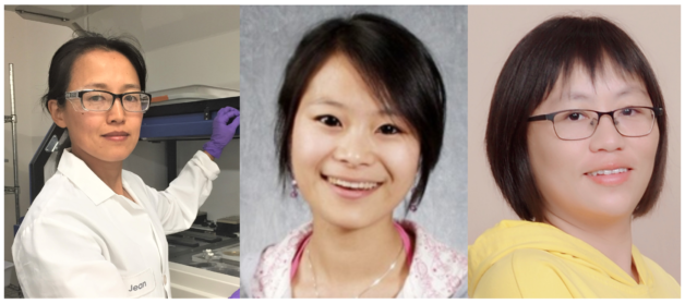The three first authors of this study, from left to right: Zhiying (Jean) Zhao, Jing Ke, and Gaoyan (Natalie) Wang, all from JGI.