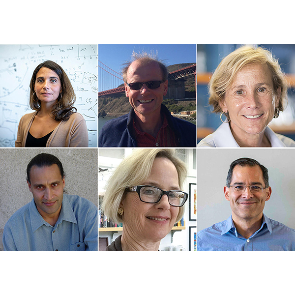 Collage of Berkeley Lab's 2019 AAAS Fellows