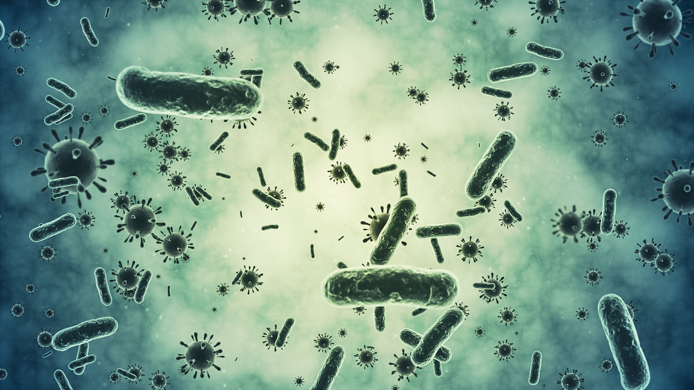An illustration of a community of microbes