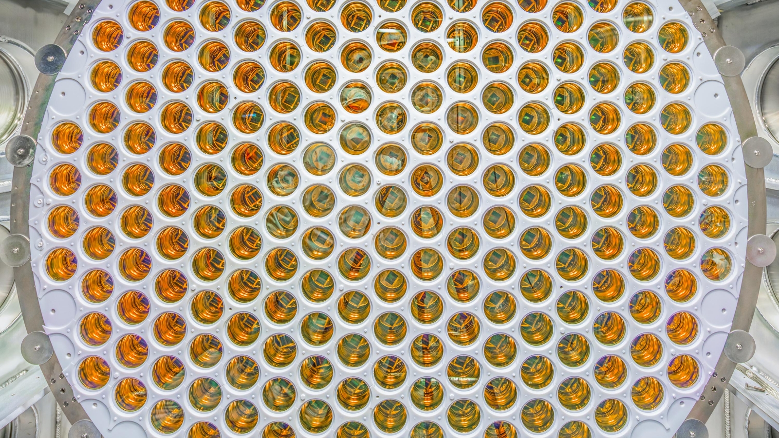 Photo - An array of photomultiplier tubes that are designed to detect signals occurring within LZ’s liquid xenon tank. (Credit: Matt Kapust/Sanford Lab)