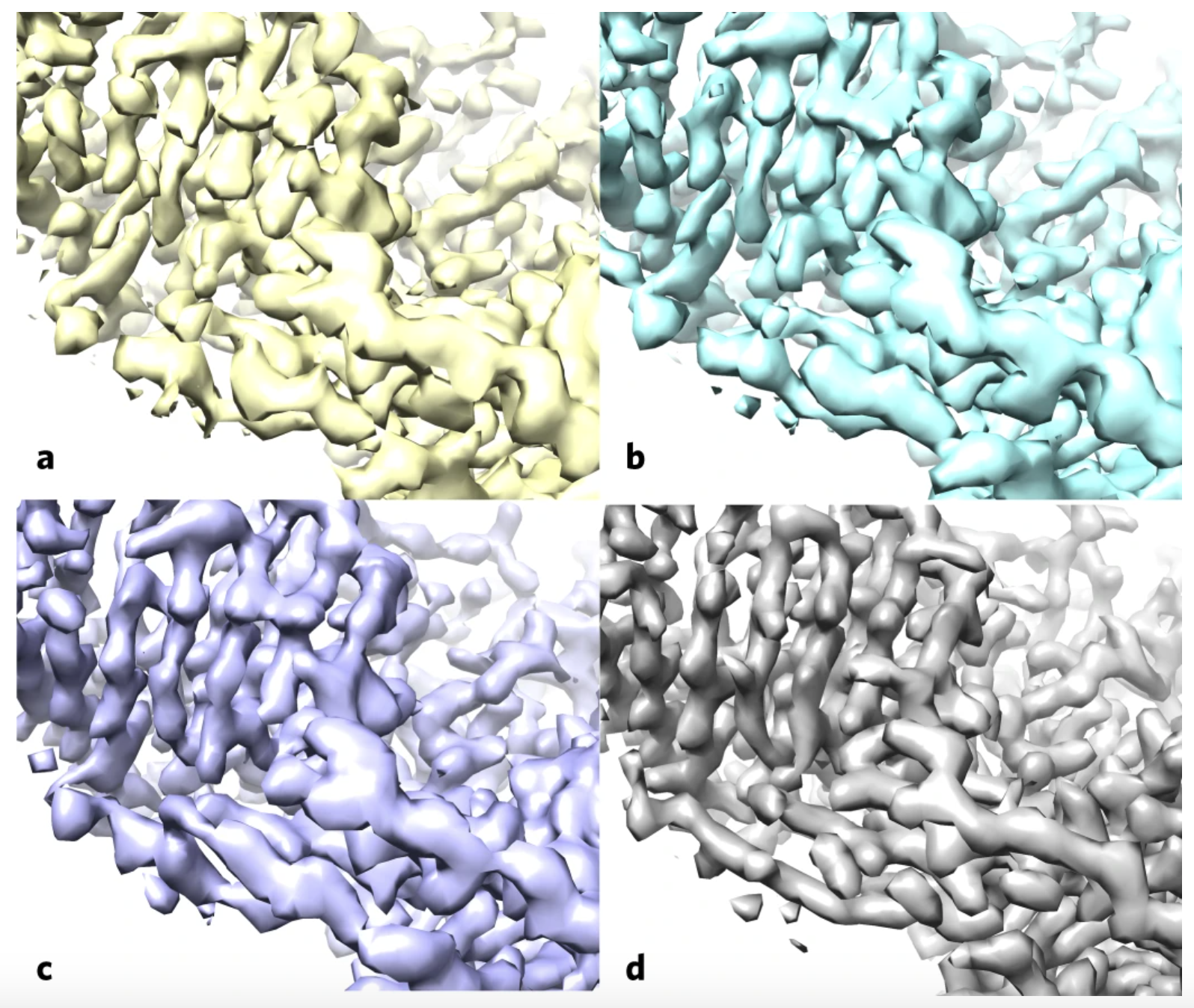 A comparison of cryo-EM structure maps of the enzyme lactase demonstrated the improvements made by the new algorithm