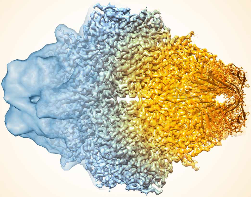 Cryo-electron microscopy images showing resolution improvement