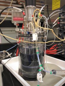 Bioreactor containing metabolic engineered bacteria 