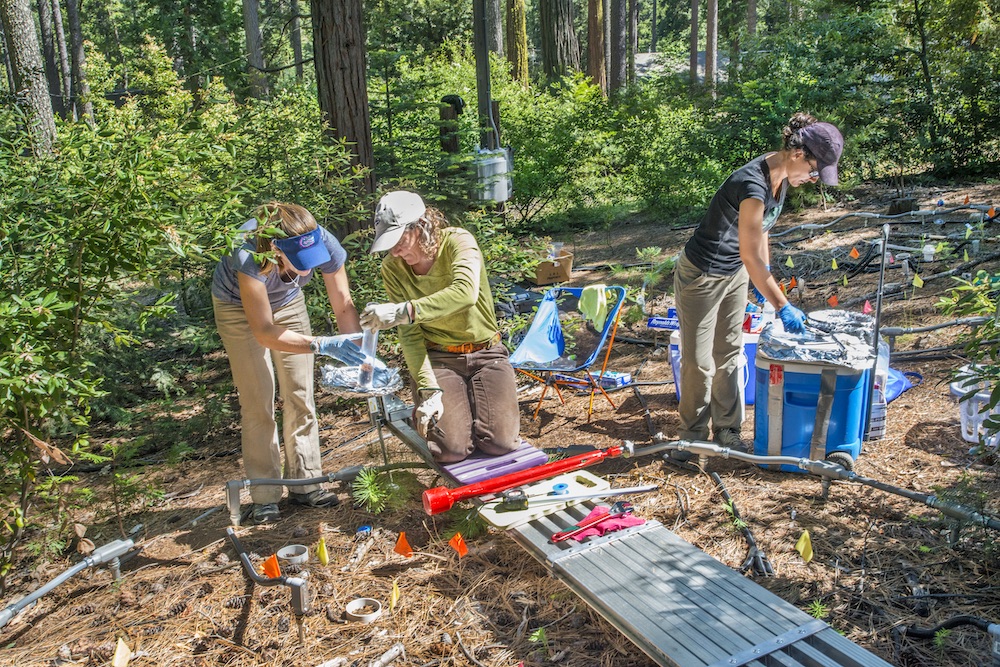 photo of three scientists taking soil samples in a forest