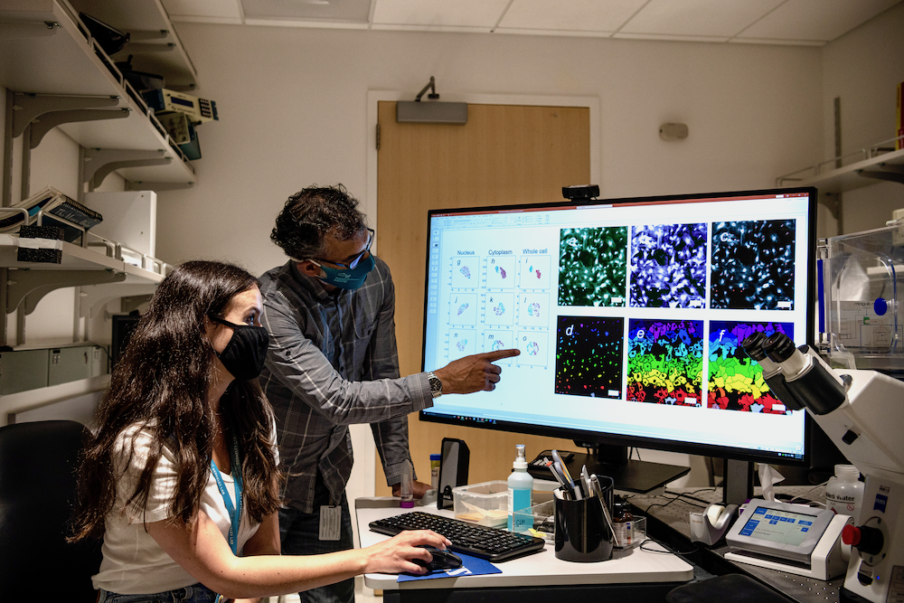 Two scientists in a lab room looking at cell images on a large monitor