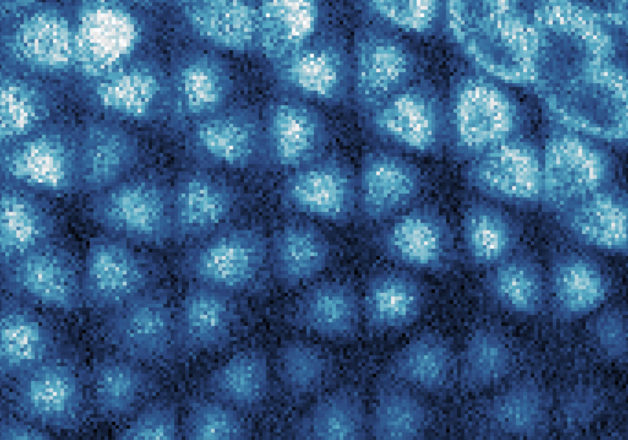This scanning tunneling microscope image of a graphene sheet reveals that a Wigner crystal – a honeycomb arrangement of electrons, like an electron ice – has formed inside a layered structure underneath. (Image by Hongyuan Li and Shaowei Li, courtesy of Nature)