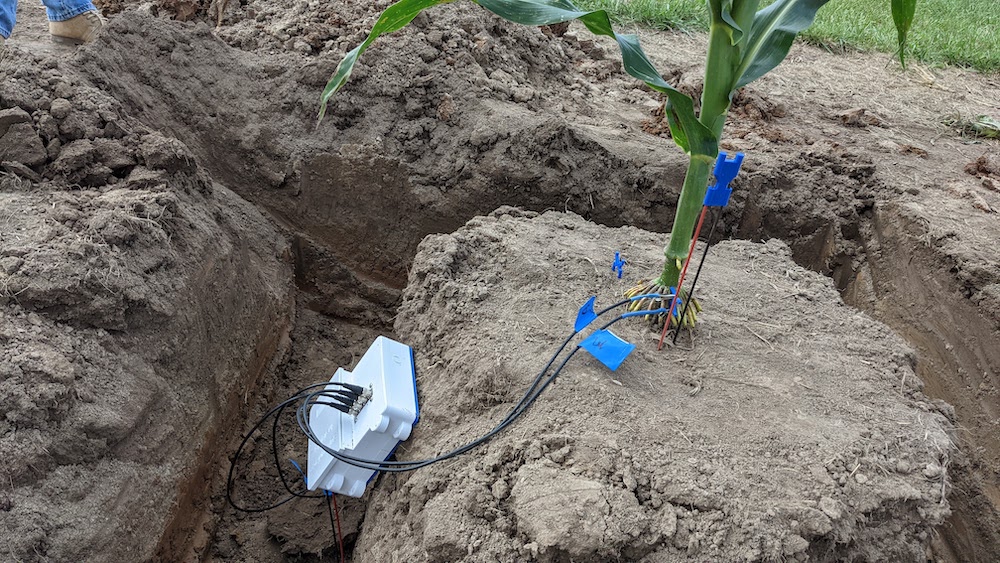 photo of plant with equipment and wires connected at base of plant
