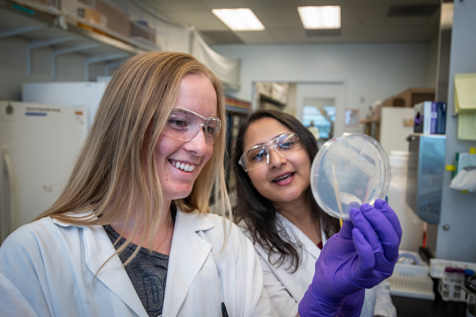 An intern and her mentor looks at a petri dish in the lab.