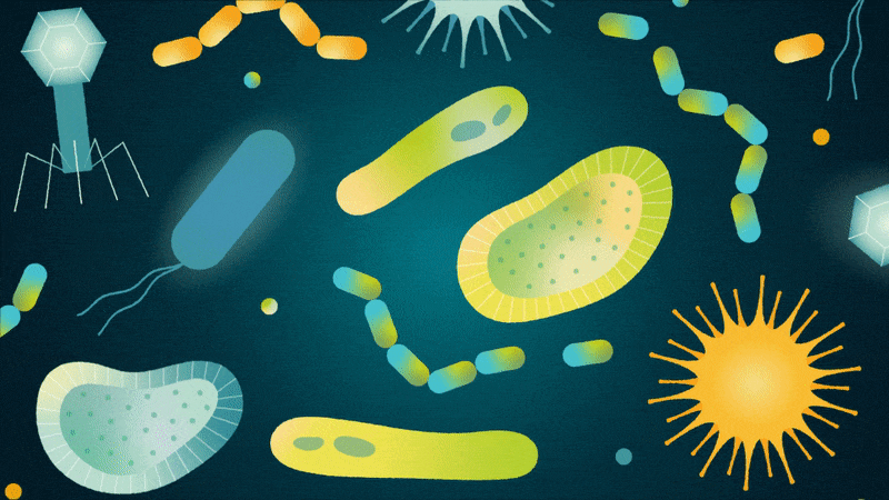 A cartoon-like graphic showing multicolored microbes and viruses on a dark blue background. A searchlight tracks over the microbes, revealing a section of colorful DNA inside a bacterium.