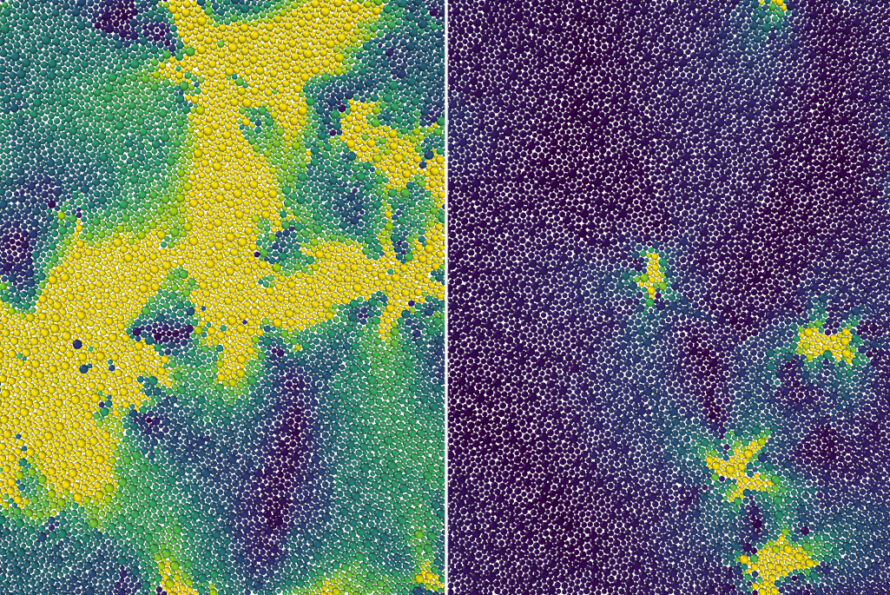 Collage of two pictures showing 2D material behavior side by side. (Left) Above an onset temperature, a 2D material exhibits normal liquid behavior with all particles similarly mobile (yellow). (Right) Below that temperature, it becomes supercooled, with the onset of rigidity leading to just some mobile particles (yellow) amongst solid-like ‘frozen’ regions (blue).