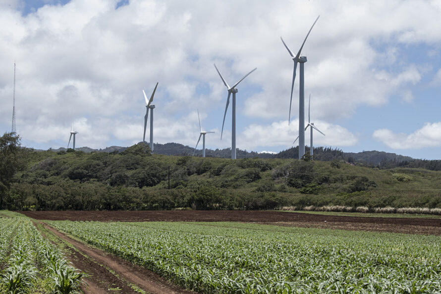 A wind farm on the north shore of Oahu, operated by the Hawaiian Electric Company.