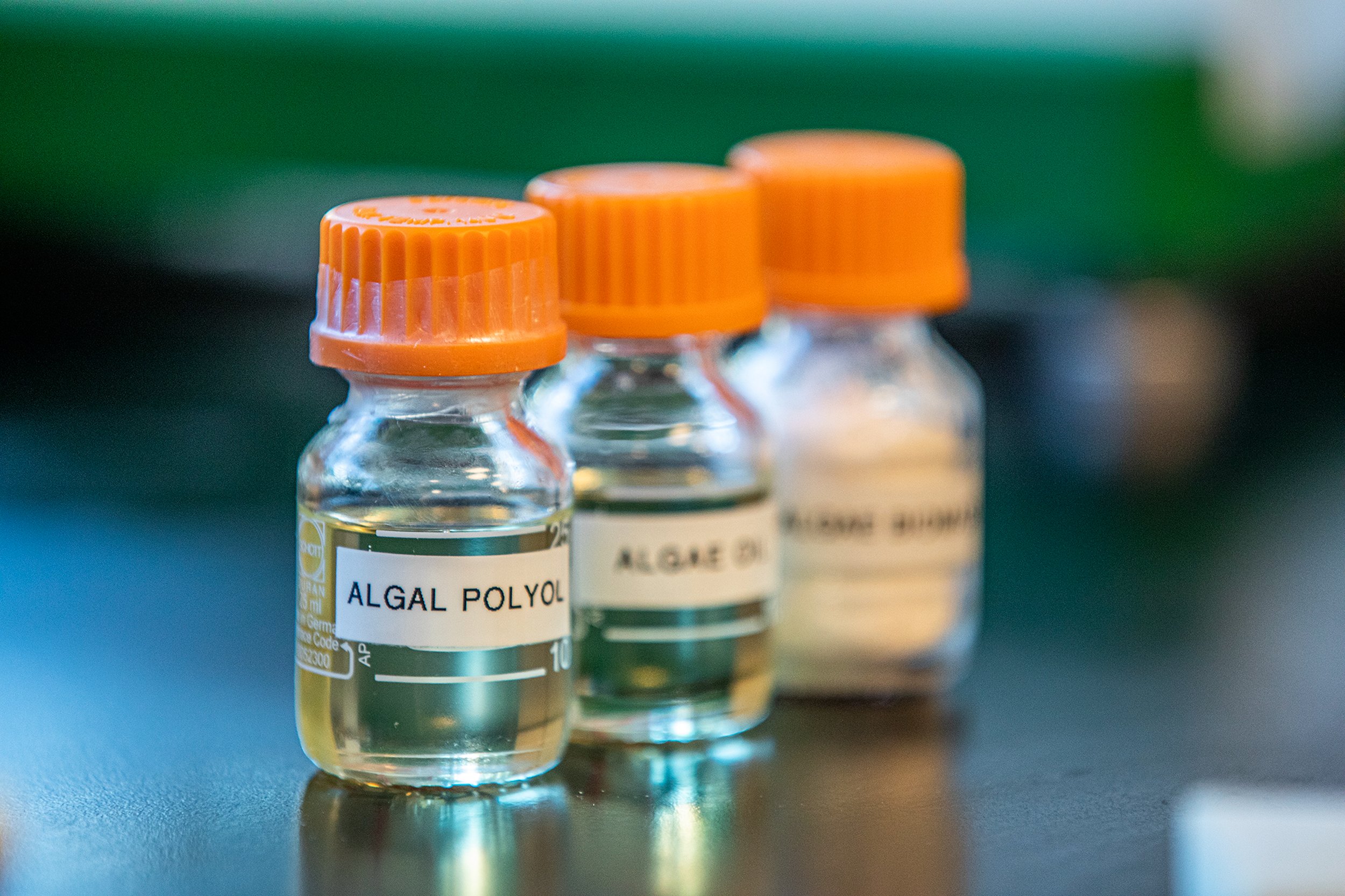 Purified algae oils and polymers.