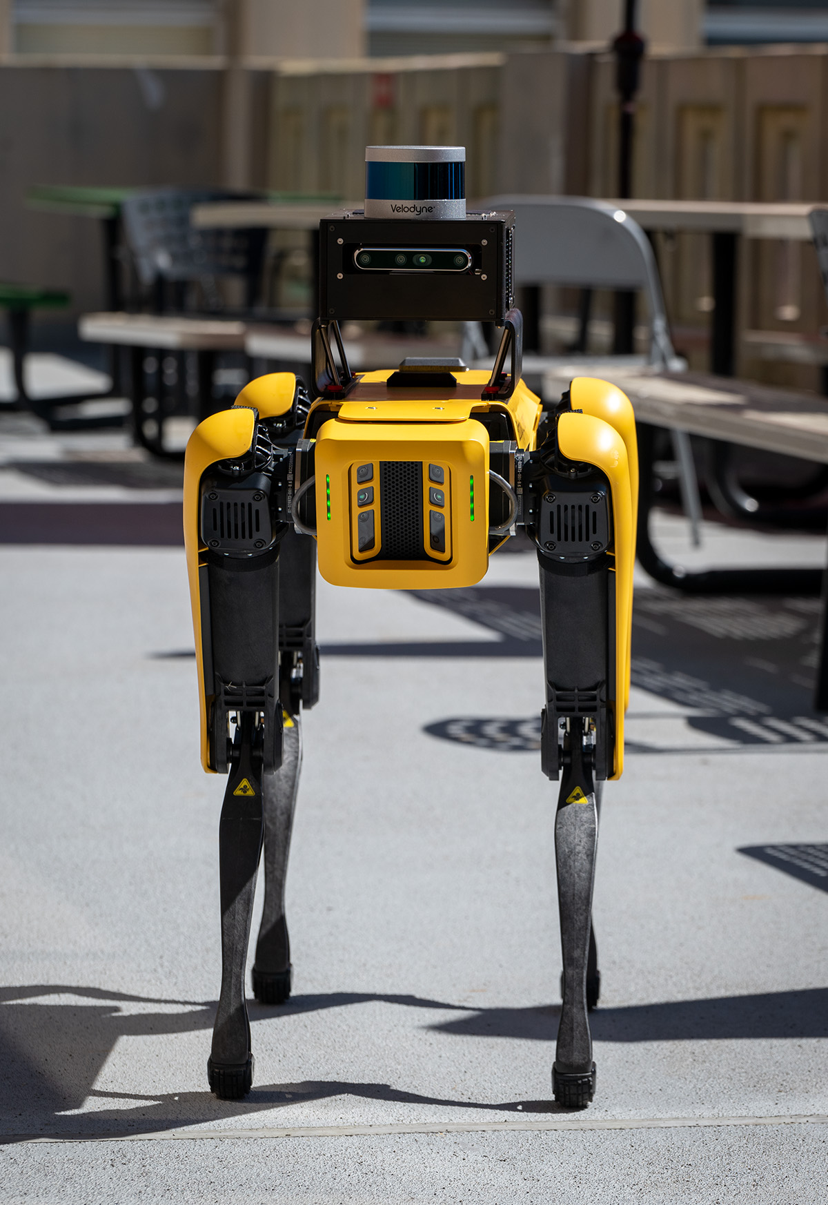 A yellow robotic dog carries a LAMP system during testing outdoors.