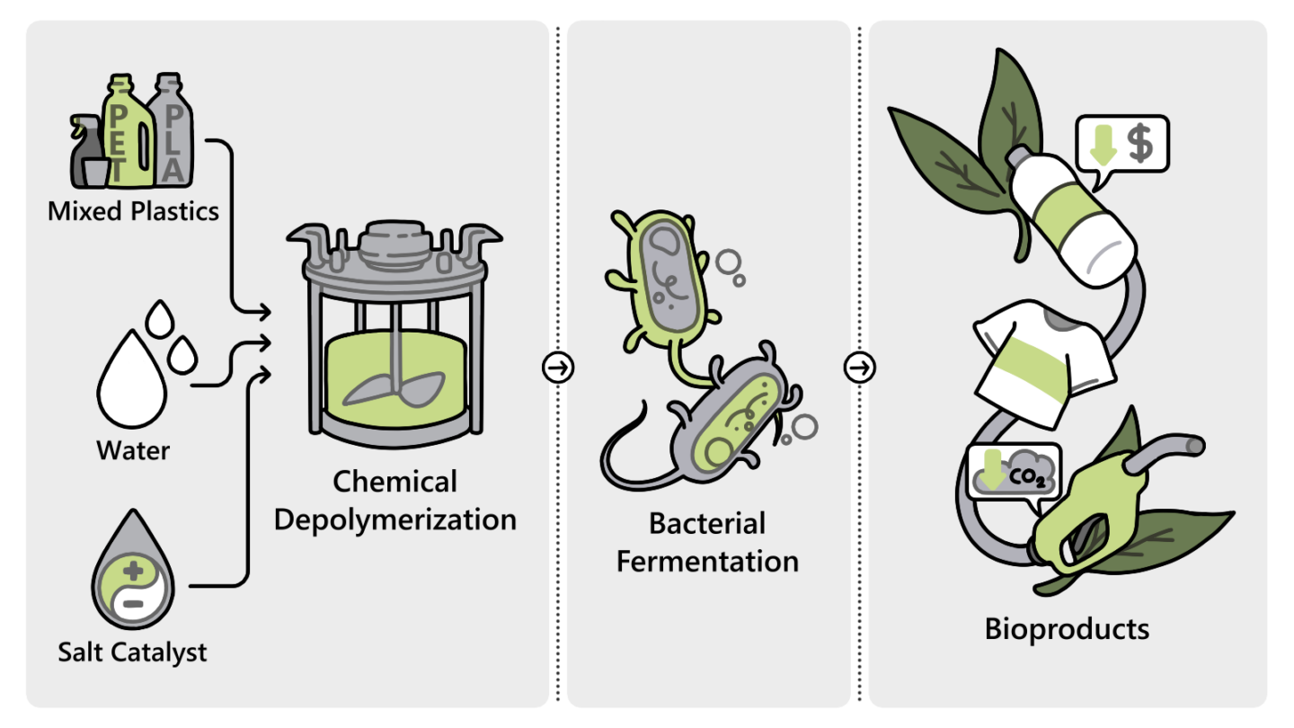 A simplified infographic of green, black, and gray that shows the steps to converto mixed plastic into new bio-based material. Salt catalysts with water break down the mixed plastics, which are then fermented by bacteria.