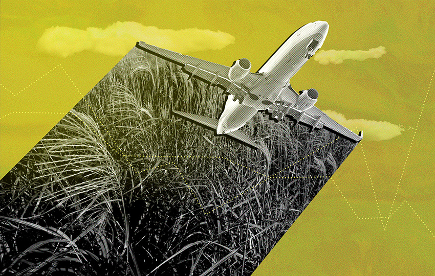 Digital collage of a plane flying through the air fueled by crops.