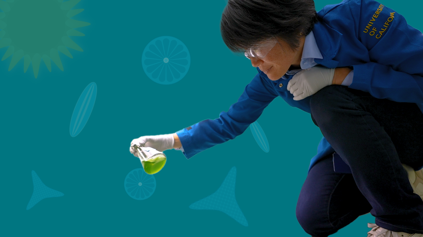 Graphic collage of a scientist holding a beaker in front of a teal background.