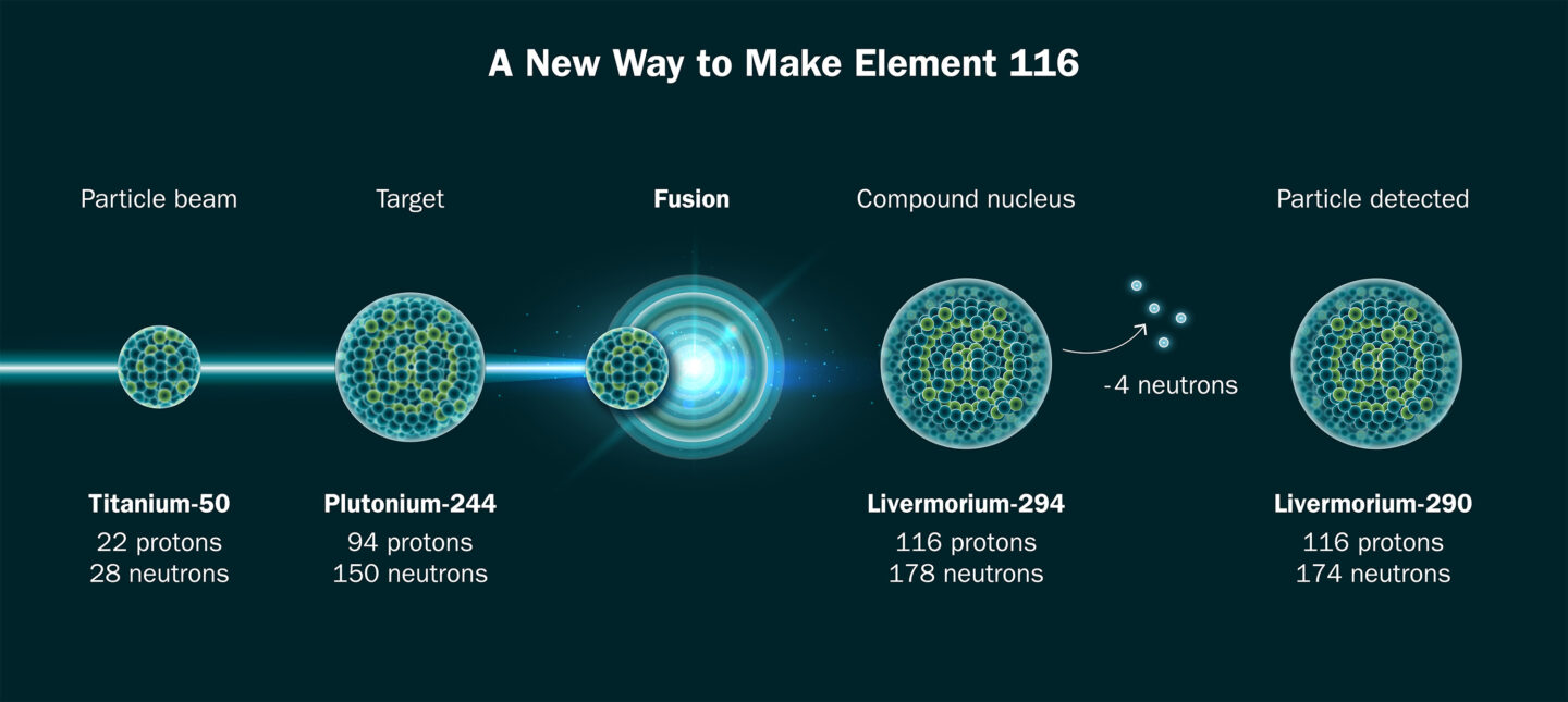Graphic illustrating how, researchers fused isotopes of titanium and plutonium to make element 116.