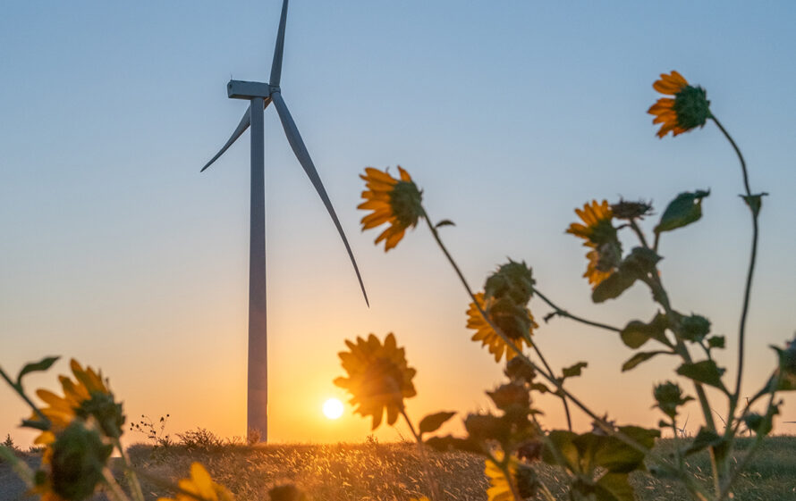 Wind turbine at sunrise with sunflowers in the foreground.